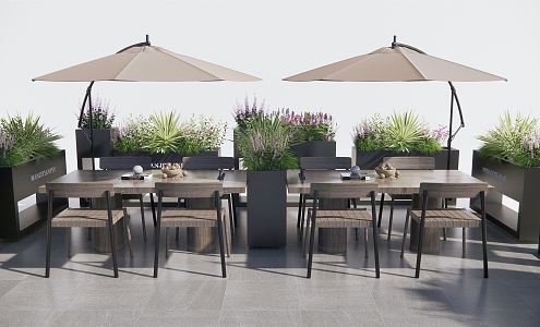 Modern Outdoor Tables and Chairs Cafe Commercial Outside Plant Flower Beds Flowers and Plants Flower Boxes 3d model