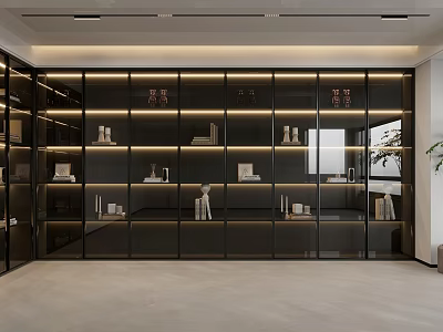 Modern Glass Door Bookcase with Built in LED Lighting and Decorative Items 3d model