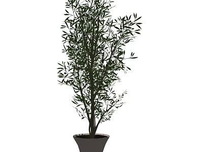Green Lush Bonsai Potted Plant With Dense Foliage For Indoor Home Decor 3d model