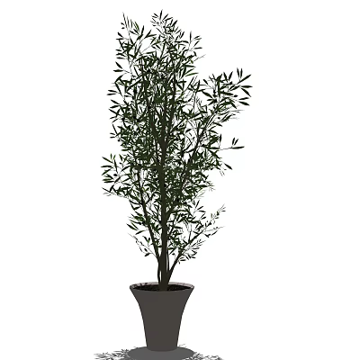 Green Lush Bonsai Potted Plant With Dense Foliage For Indoor Home Decor 3d model