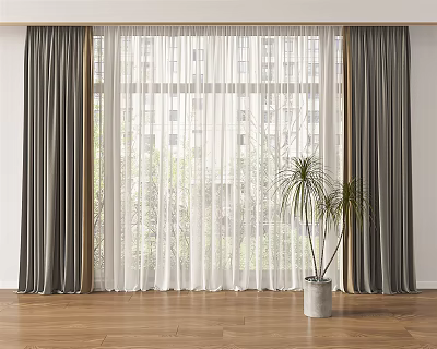 Gray And White Sheer Curtains For Window With Wooden Floor And Indoor Plant 3d model