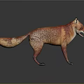 Realistic Red Fox Standing With Open Mouth On Gray Background 3d model