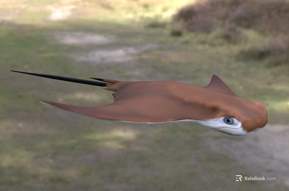 Graceful Brown Aquatic Stingray With Long Tail And White Eyes Swimming 3d model 