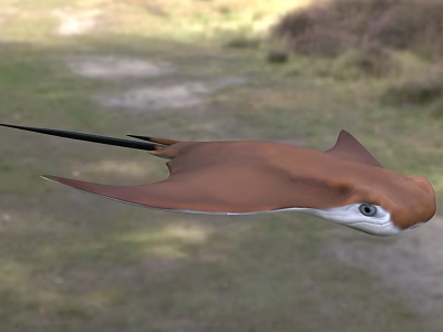 Graceful Brown Aquatic Stingray With Long Tail And White Eyes Swimming 3d model