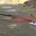 Graceful Brown Aquatic Stingray With Long Tail And White Eyes Swimming