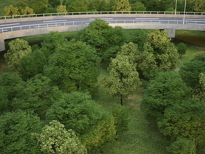 Lush Green Arboreal Trees Thriving Along Roadside With Grassland And Bridge 3d model