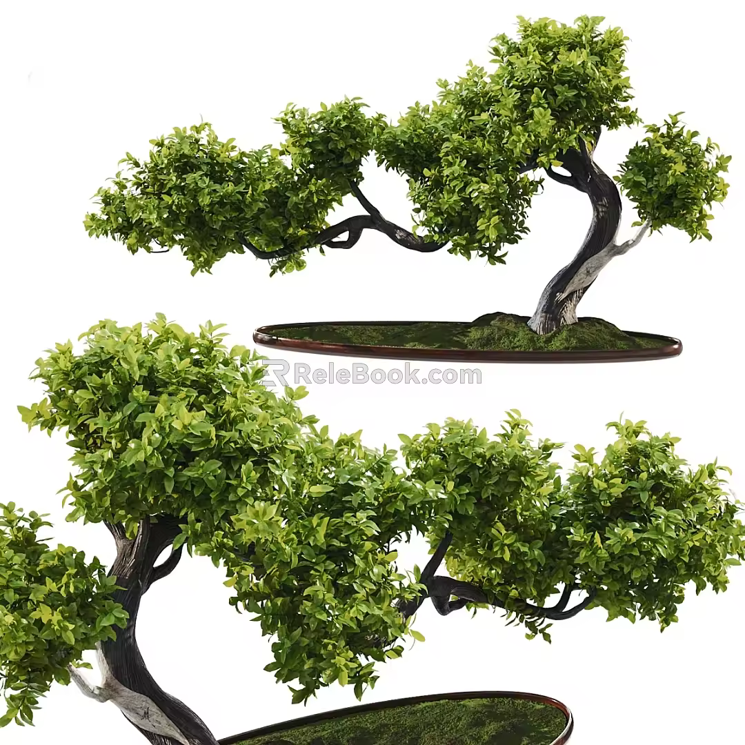 New Chinese Bonsai Landscape Green Planting Pine Tree Landscape Green Planting 3d model