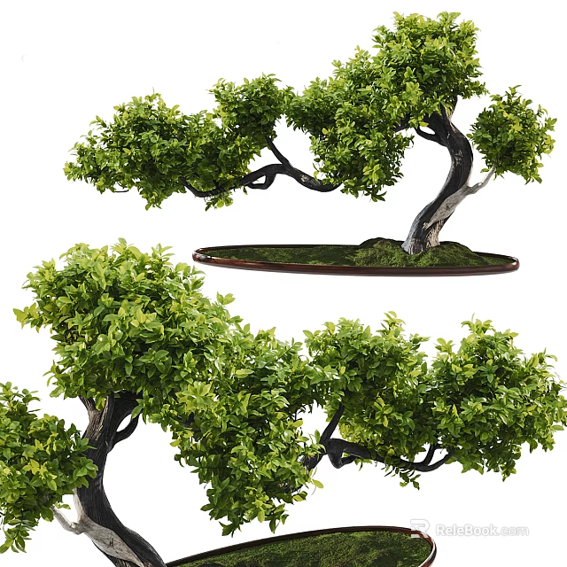 Bonsai Tree With Artistic Shape Lush Green Leaves Curved Trunk And Decorative Pot 3d model 