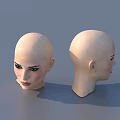 Woman Bald Head Model Display Front And Side View Design Details