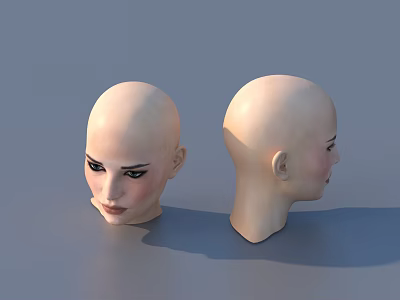 Woman Bald Head Model Display Front And Side View Design Details 3d model
