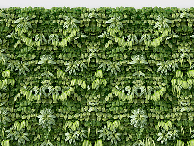 Modern Plant Wall model