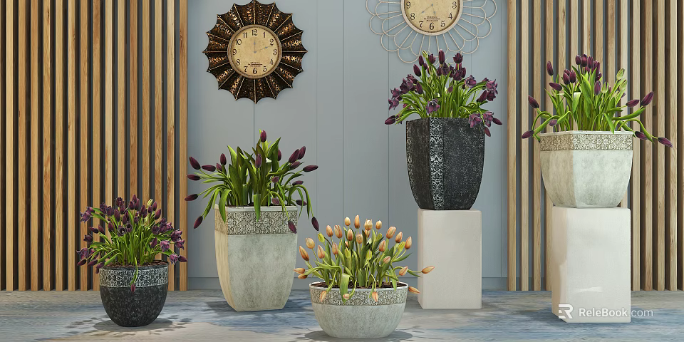 Potted Tulip Plants In Various Decorative Pots On Stands With Decorative Wall Clocks 3d model 