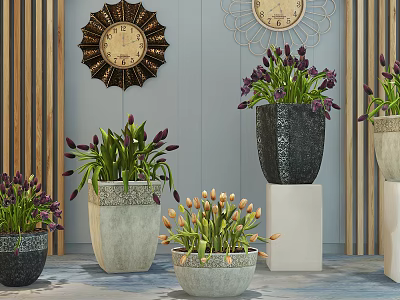 Potted Tulip Plants In Various Decorative Pots On Stands With Decorative Wall Clocks 3d model