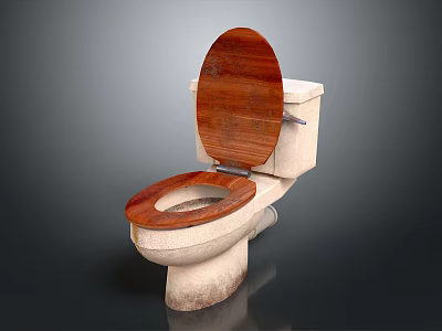 White Ceramic Toilet With Wooden Seat And Lid For Bathroom Fixture 3d model