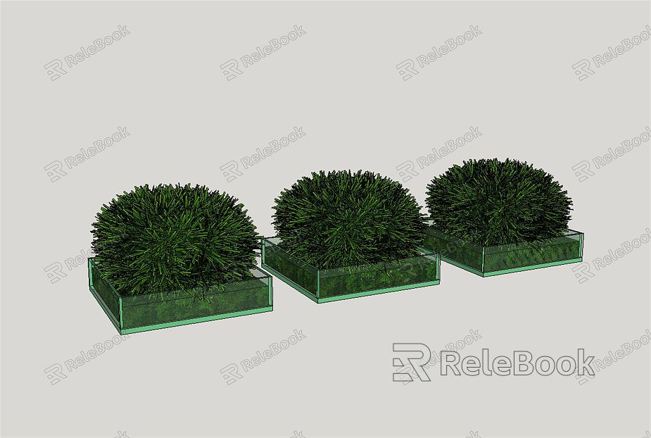 modern shrub courtyard plant potted green plant model