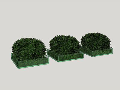 modern shrub courtyard plant potted green plant model