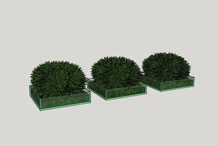 modern shrub courtyard plant potted green plant 3d model