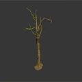 Dried Tree Branch With Bare Twigs And Natural Texture Isolated On White Background