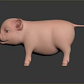 Cute Pink Piglet Standing on Dark Background with Reflection 3d model