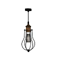 Industrial Vintage Pendant Light With Black Metal Cage Frame And Exposed Warm Filament Bulb