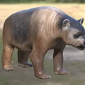 3D Model of a Large Flying Animal With Brown Gray Feathers Standing on Grass