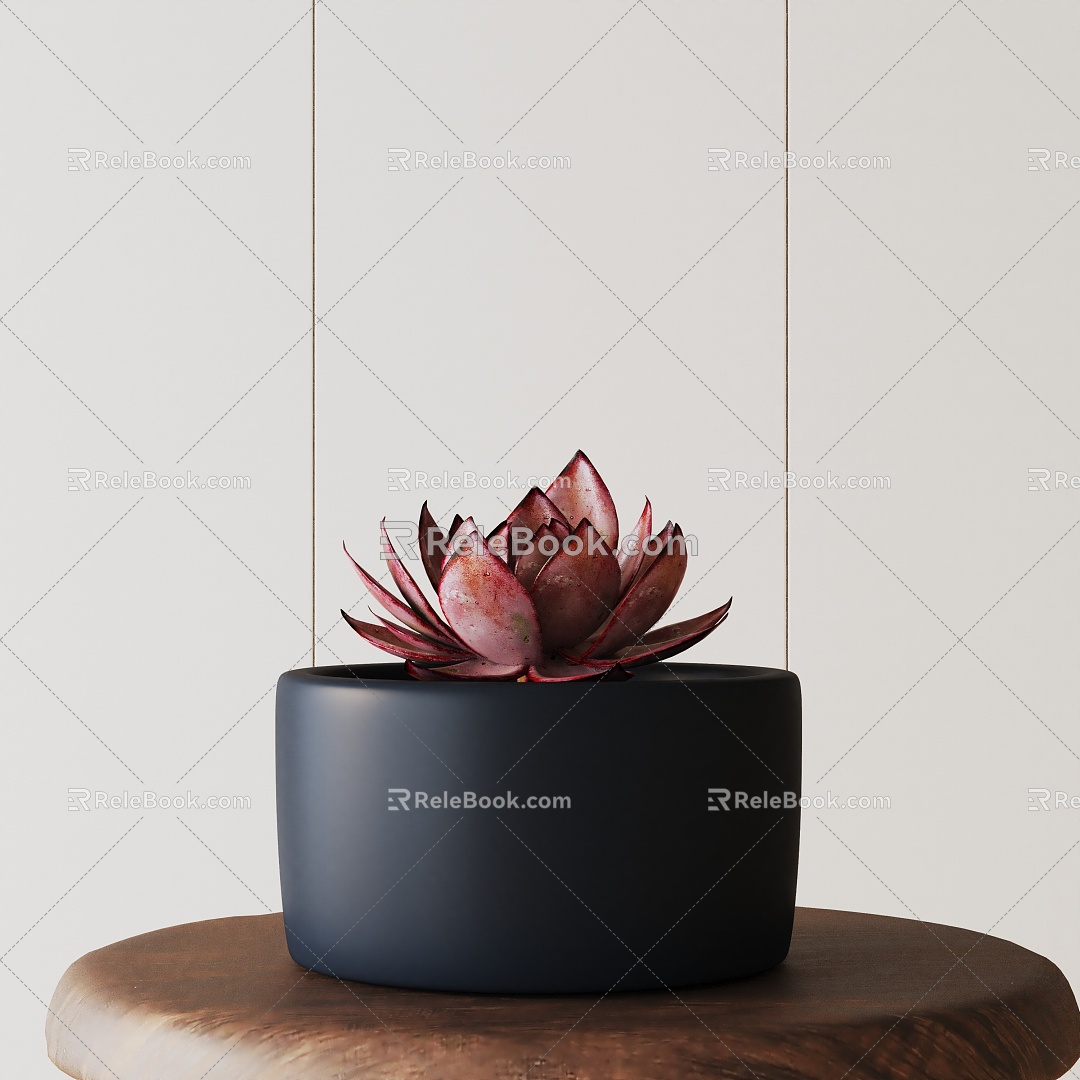 Modern Potted Plant 3d model