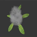 Unique Plant with Slender Stem Fuzzy Top Seeds and Green Leaves on Black Background