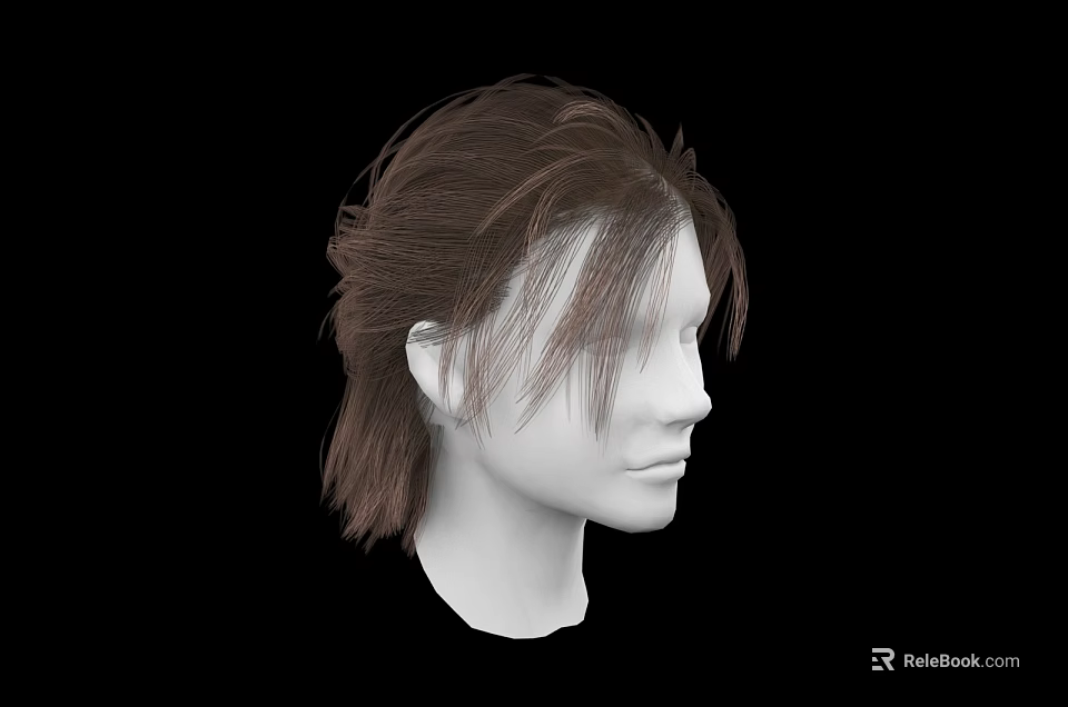 3D Human Head Model Side View With Realistic Brown Hair And Detailed Facial Organs 3d model 