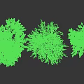 Three Different Shapes Trees With Human Silhouette For Size Scale