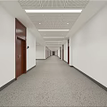 Spacious Office Corridor With White Walls Brown Wooden Doors Gray Carpet Grid Ceiling And Green Plants