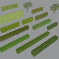 Various Trimmed Garden Shrubs And Hedges In Different Sizes And Shapes