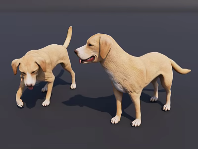 Two Yellow Reptile 3D Models Standing On Gray Background With Realistic Features 3d model