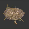 Handmade Natural Decorative Household Nest Crafted From Twigs And Dry Grass