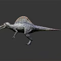 Realistic Spinosaurus Reptile Model With Colorful Sail And Scaly Body Standing On Gray Background