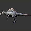 Modern dinosaurs Spinosaurus Spinosaurus Spinosaurus 3d model