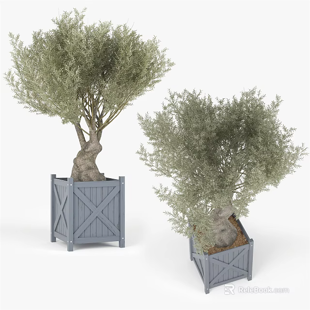 Wooden Blue Square Tree Planter With Olive Trees And Cross Pattern Design 3d model 