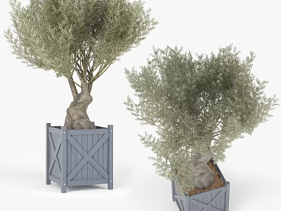 Wooden Blue Square Tree Planter With Olive Trees And Cross Pattern Design 3d model