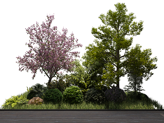 Modern Tree Plant Landscape Cluster 3d model