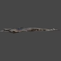 Long Textured Fossil Rock Slice on Gray Background with Natural Patterns 3d model