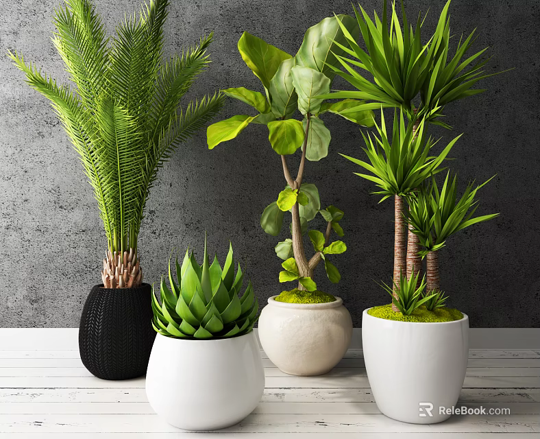 Various Potted Plants with Green Leaves in Black White Beige Pots on White Table 3d model 