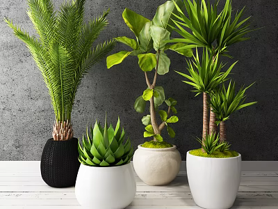 Various Potted Plants with Green Leaves in Black White Beige Pots on White Table 3d model