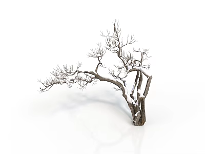 Leafless Winter Tree With Snow Covered Trunk On White Background 3d model