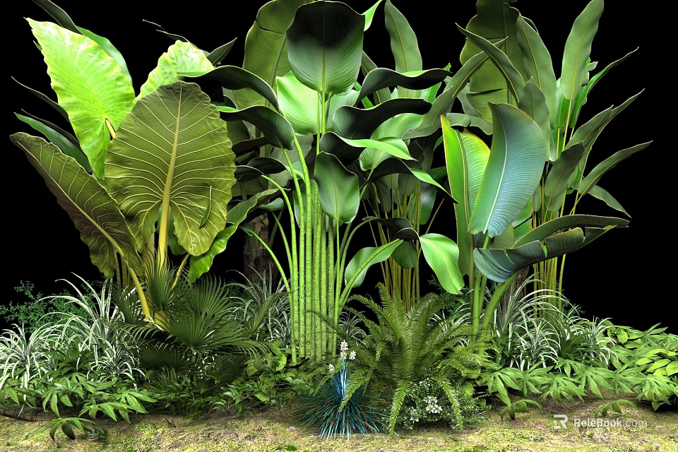 Lush Green Tropical Plants With Large Leaves Ferns And Diverse Foliage 3d model 