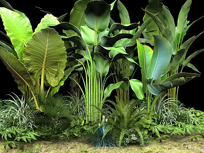 Lush Green Tropical Plants With Large Leaves Ferns And Diverse Foliage 3d model