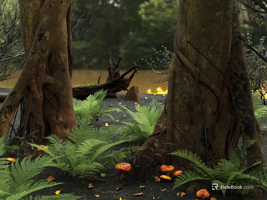 Tall Trees with Exposed Roots Surrounded by Ferns and Mushrooms in Forest 3d model 