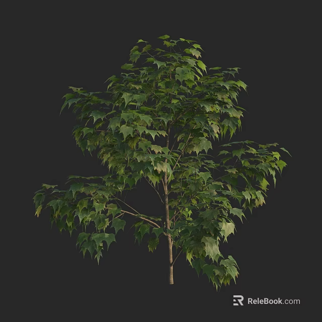 Lush Green Arbor With Dense Foliage And Strong Trunk Structure 3d model