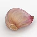 Single Fresh Garlic Clove With Light Brown And Purple Stripes Natural Texture Root End
