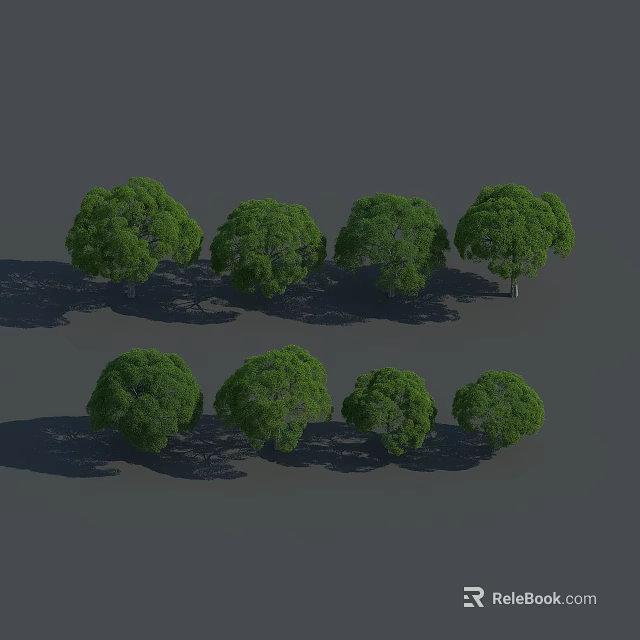 Green Arbor Trees with Various Sizes and Natural Shadows in 3d model