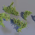 Diverse Plant Combination Featuring Trees Shrubs Grasses And Various Foliage Varieties