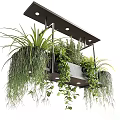Modern Indoor Hanging Planter with Metal Frame Various Green Plants Ferns Trailing Vines